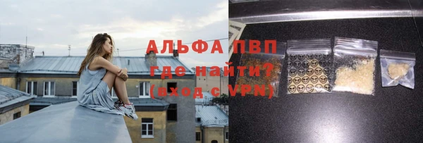 индика Алексин