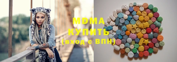 индика Алексин