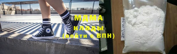 индика Алексин