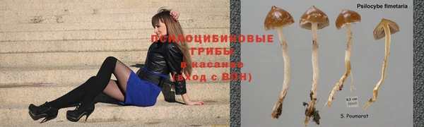 индика Алексин