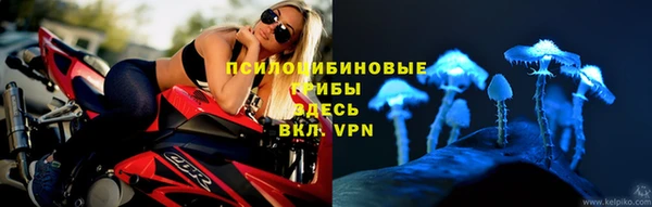 СК Алзамай