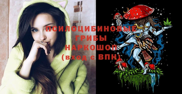СК Алзамай