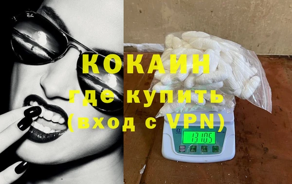индика Алексин