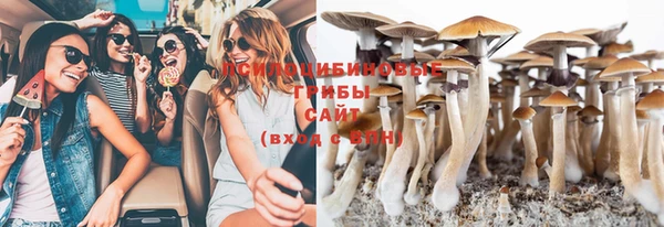 стаф Алексеевка