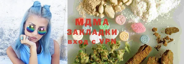 индика Алексин