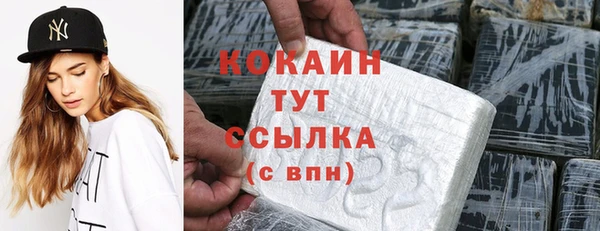 СК Алзамай