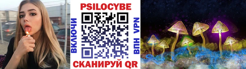 Галлюциногенные грибы Psilocybine cubensis  Лаишево 